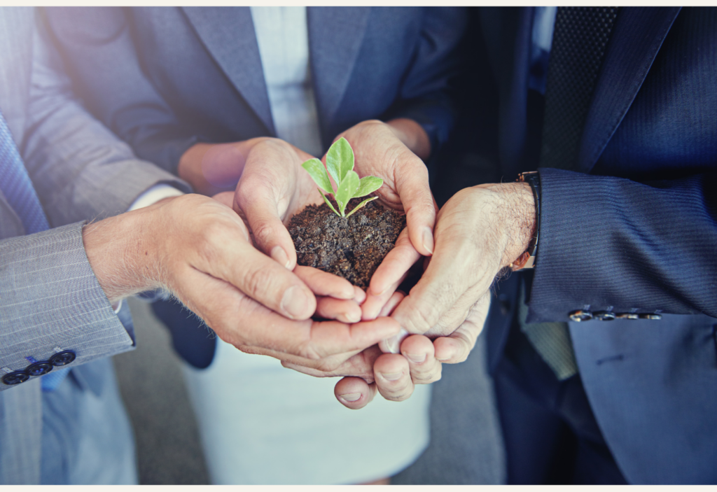 Luton Ready - Proposal (2)